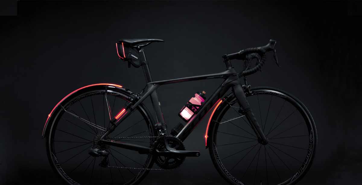 Topeak project interface