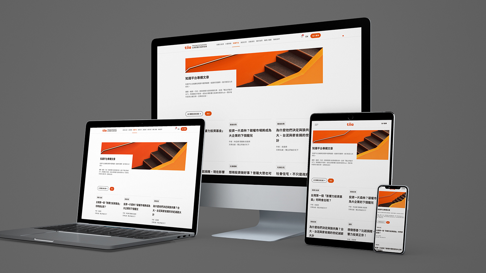 Tiia 台灣影響力投資 project interface