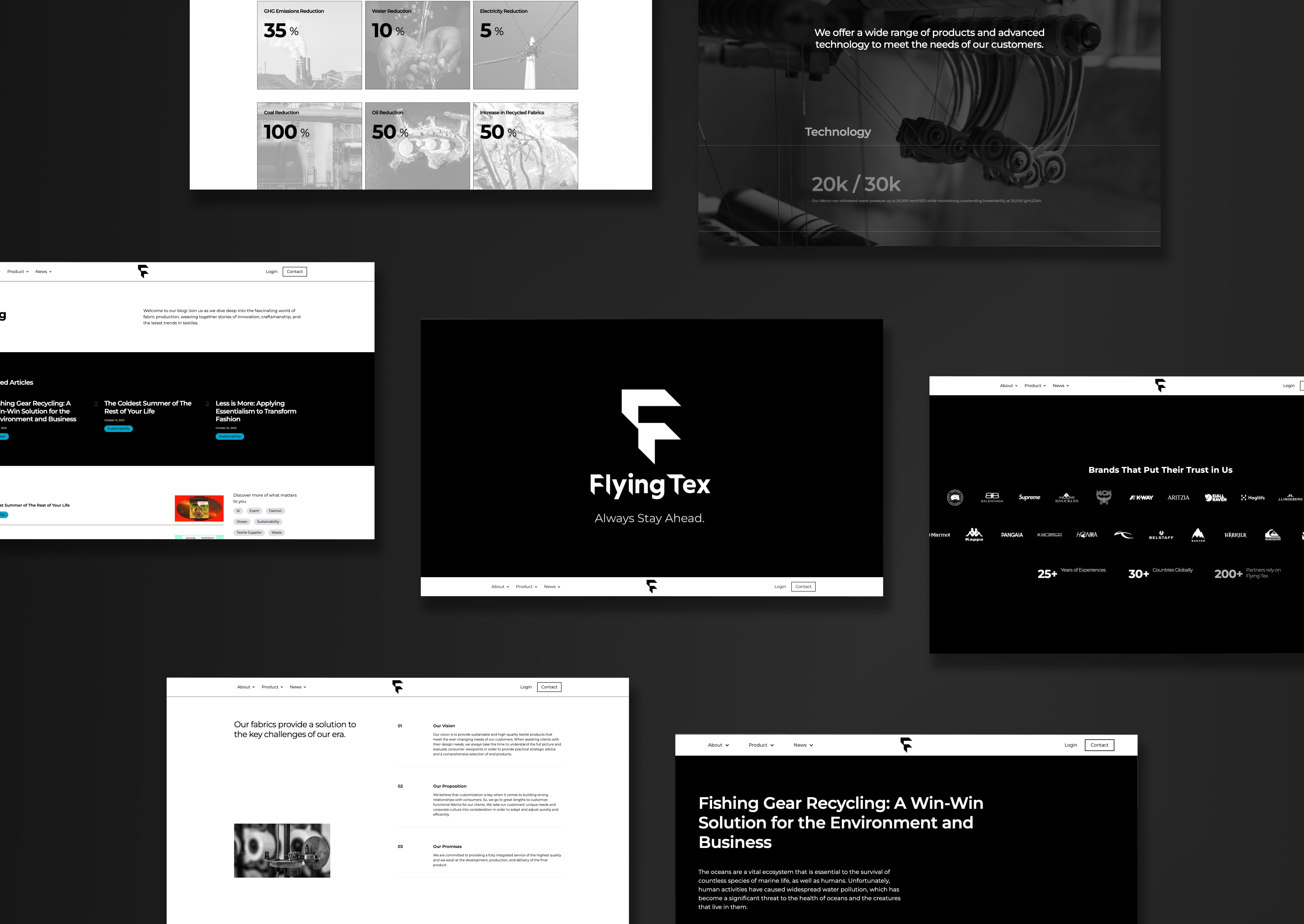 FlyingTex project interface