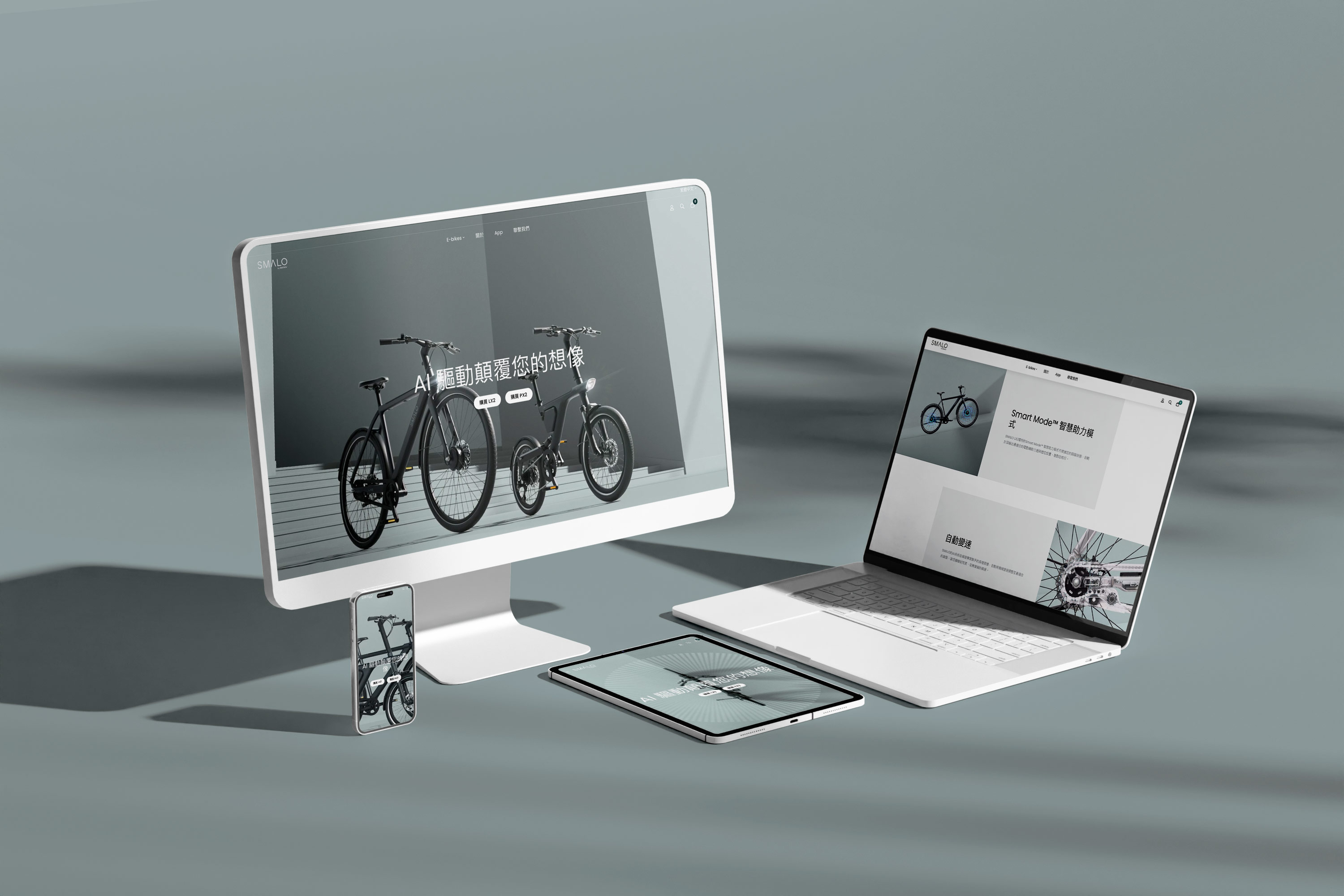 Smalo Ebike project interface