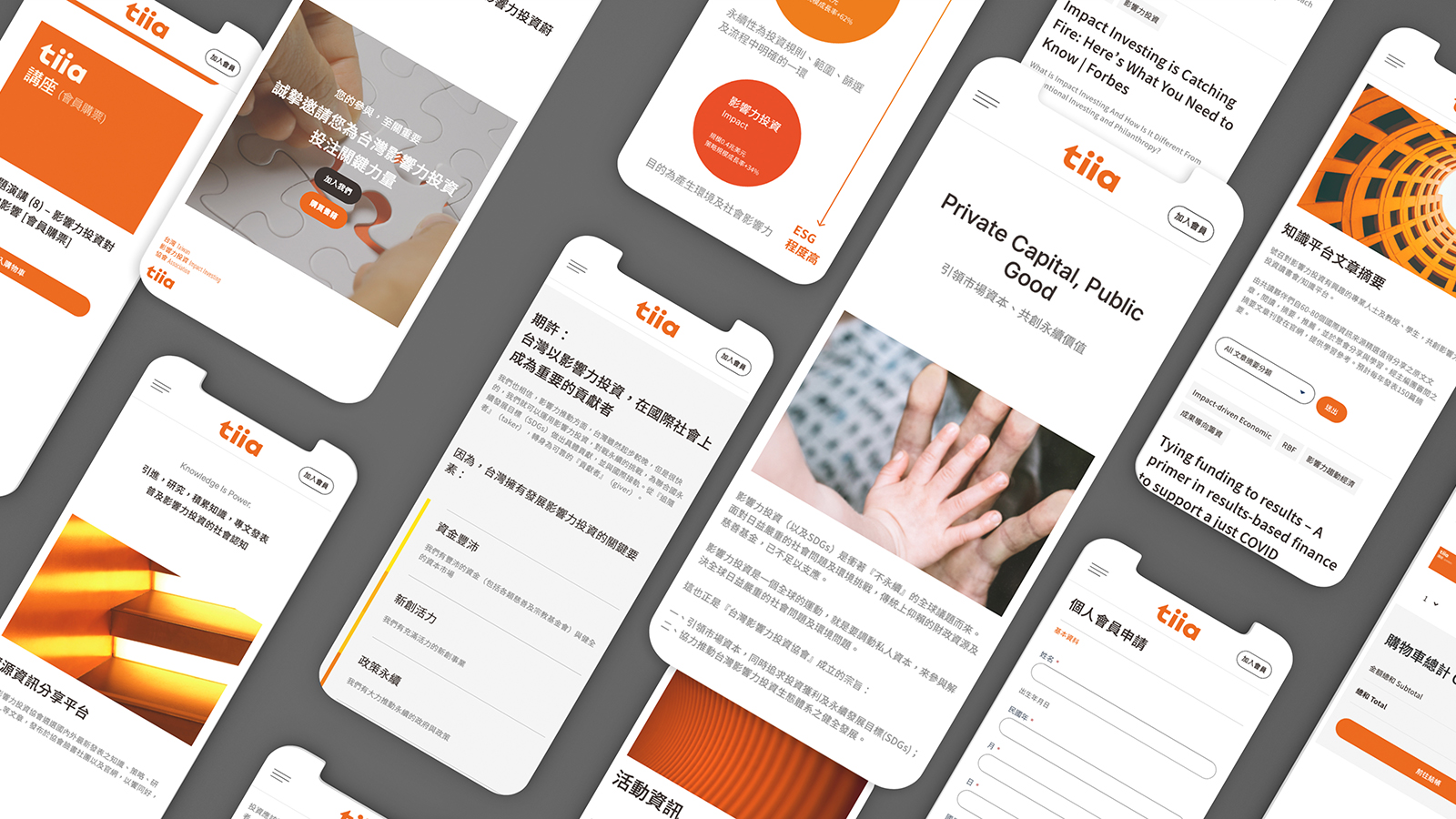 Tiia 台灣影響力投資 project result 1